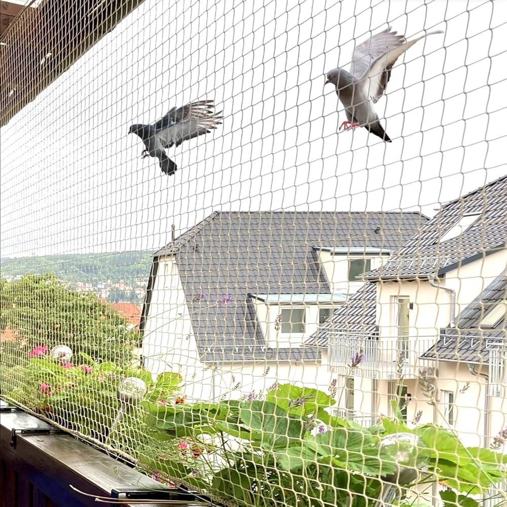 bird-netting-services